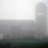 Fog Oct 2007